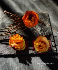 Fruit Blossom 