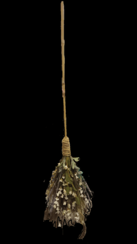 Image 1 of Witches Broom/Wedding Broom