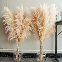 Image 6 of White Ceramic Vase, Modern Art Vase for Pampas Grass, Flowers.