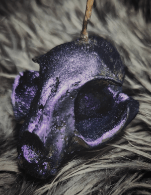 Image of Cat Skull Candle | Life Sized | Organic Beeswax | Color Shifting Mica