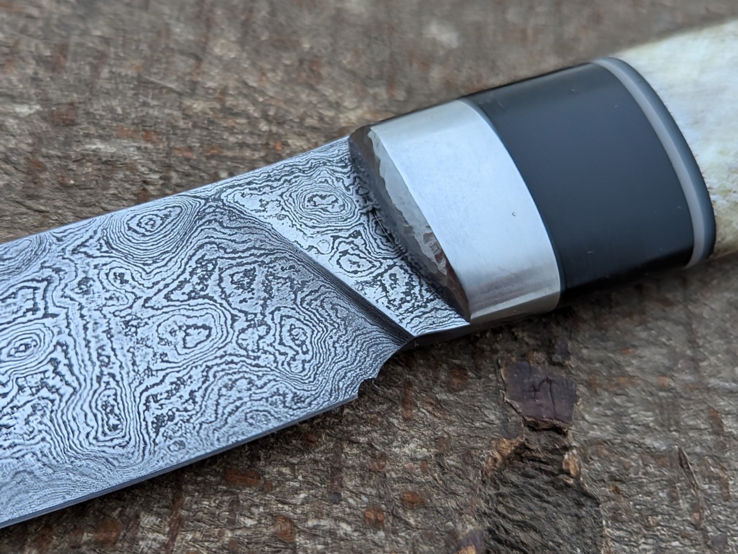 Image of Roadkill Knife