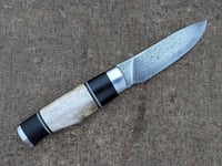 Image 5 of Roadkill Knife