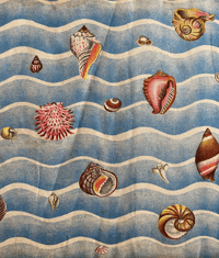 Image 4 of Shells and How They Live by Eileen Mayo