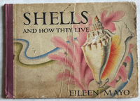 Image 1 of Shells and How They Live by Eileen Mayo