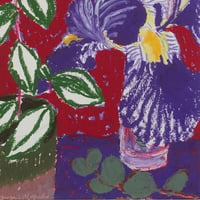 Image 3 of Iris rouge et violet