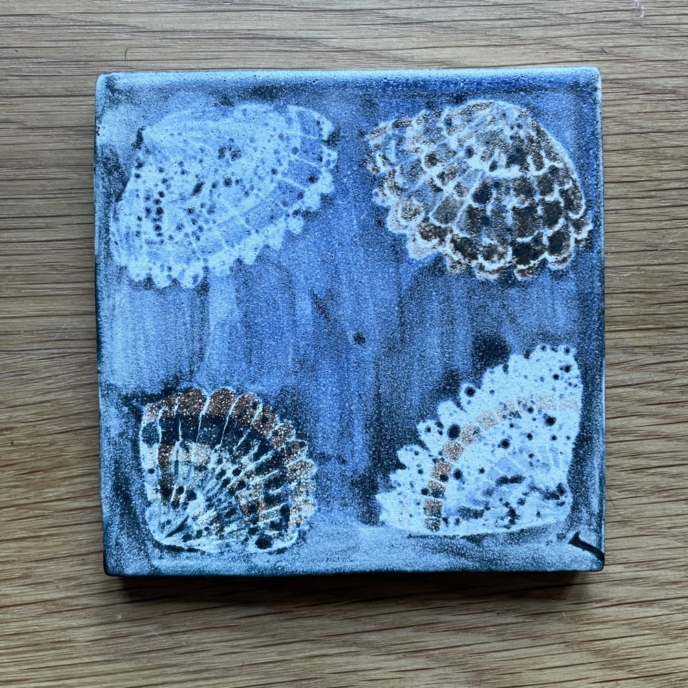 Cockles medium tile