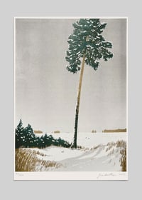 Image 3 of Brandenburg Package