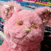 Pink Cat