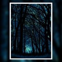 HERON IN THE WOODS - AURORA EDITION 