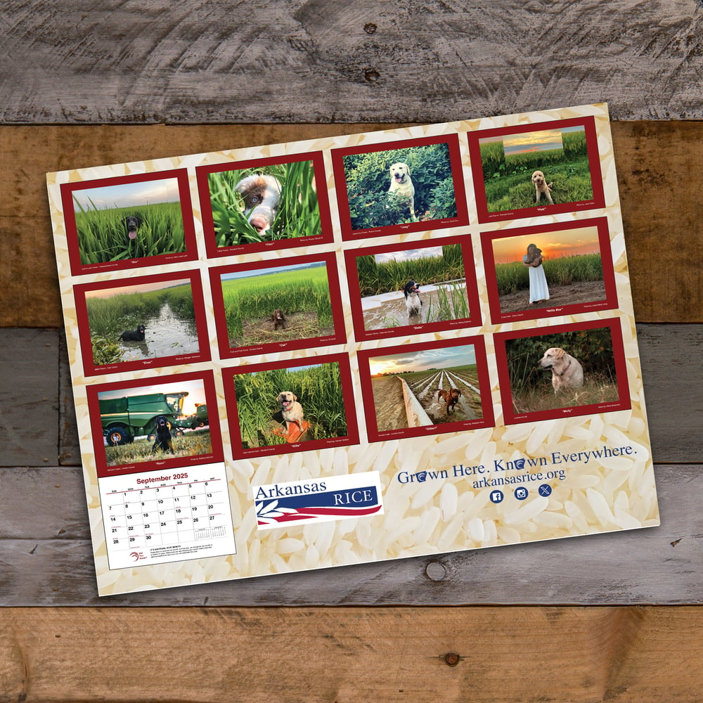 2025 Arkansas Rice Farm Dog Calendar