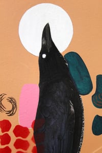 Image 3 of Carrion Crow (Green Sheen)