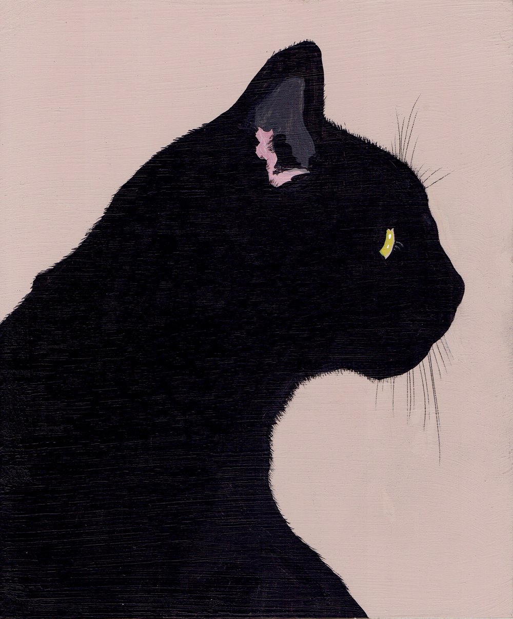 Image of BLACK CAT