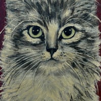 Image 3 of 1940’s CAT PORTRAIT 