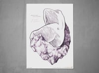 Roche se languit (A4)