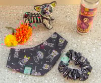 Image 1 of dante dia de los muertos set
