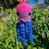 Image 2 of Pride Jellies - Small