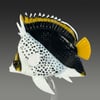 Tinker's Butterflyfish