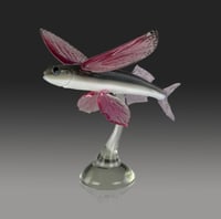 Image 3 of Glider FLying Fish