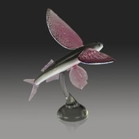 Image 1 of Glider FLying Fish