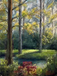 Abita Springs Evening