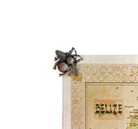 Image 2 of Insect Relic Magnets - Set of 2