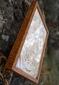 Image 3 of Phototaxis