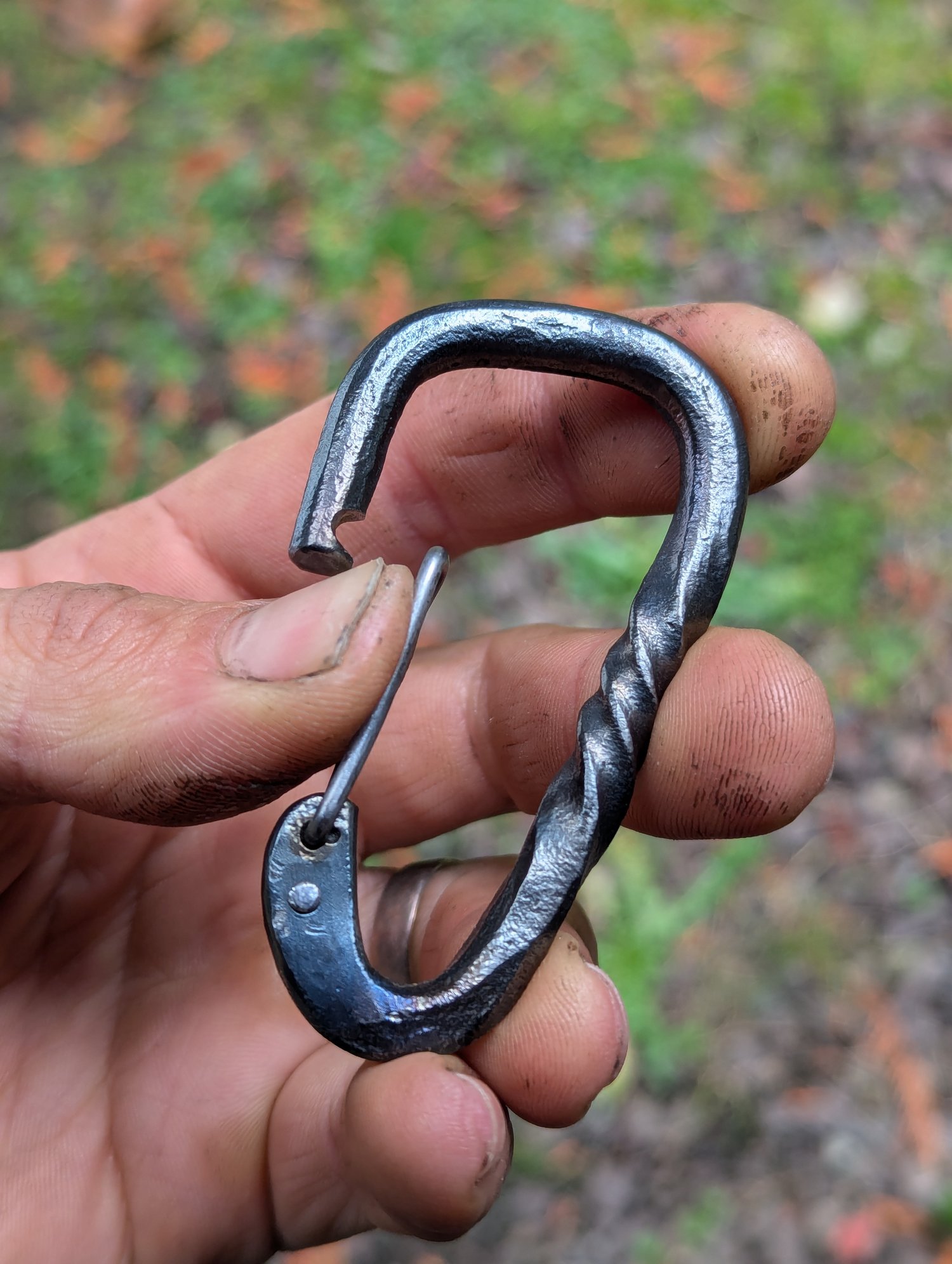Image of Forged carabiner