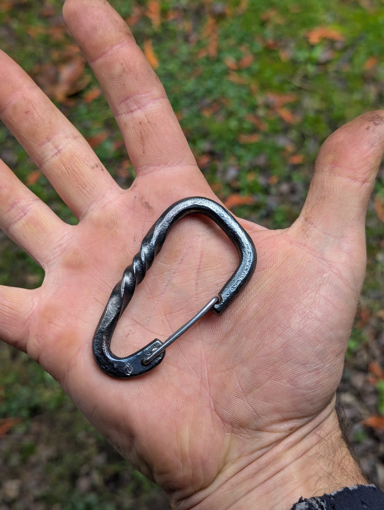 Image of Forged carabiner