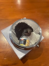 Image 1 of Personalised Pet Pill Box