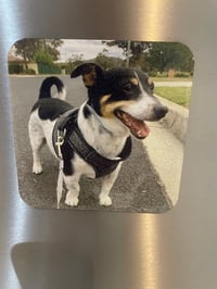 Image 1 of Personalised Pet - Square Fridge Magnet 