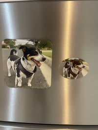 Image 2 of Personalised Pet - Square Fridge Magnet 
