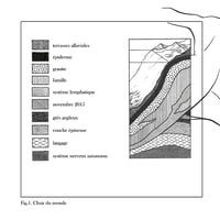 Image 2 of Série STRATES 