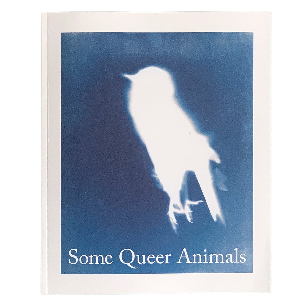 Image of Some Queer Animals, Roelof Bakker
