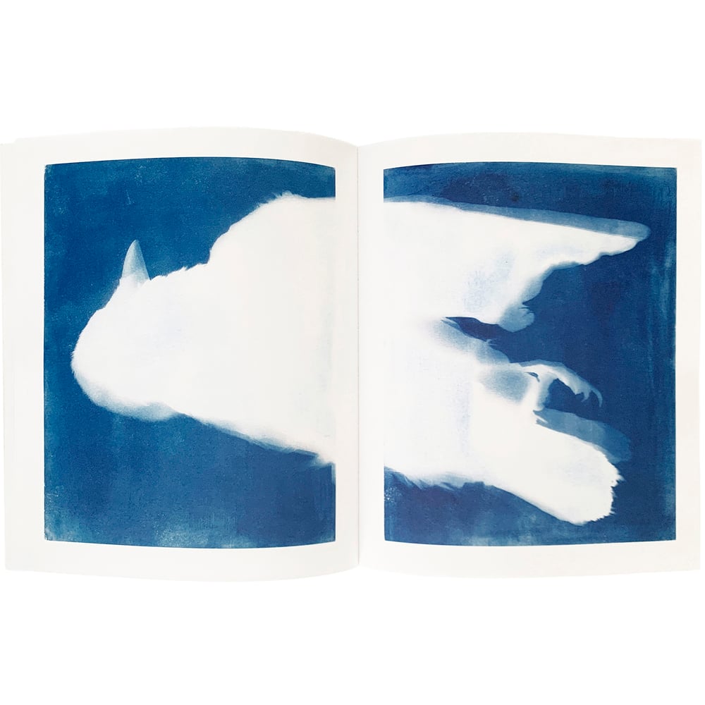 Image of Some Queer Animals, Roelof Bakker