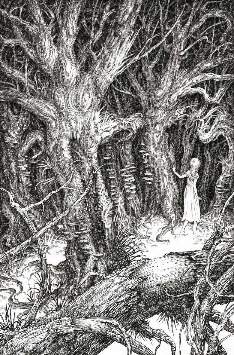 Image of 'The Woodland Door' by Adam Oehlers 