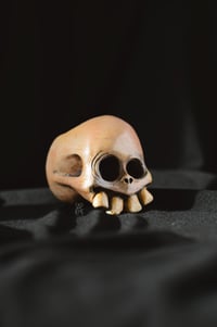 Image 2 of Bone Skull pot 