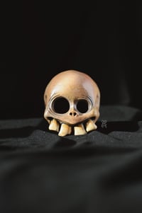 Image 1 of Bone Skull pot 