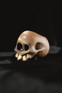 Image 3 of Bone Skull pot 