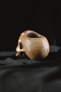 Image 4 of Bone Skull pot 