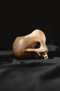 Image 5 of Bone Skull pot 