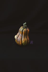 Image 5 of Mini pumpkins | Different color choices!