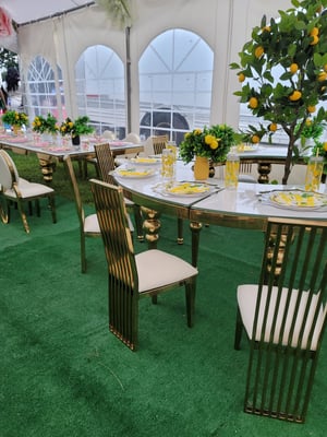 Image of Kids luxury table set with luxury chairs and table package 
