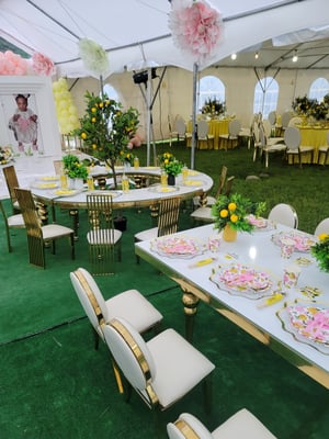 Image of Kids luxury table set with luxury chairs and table package 