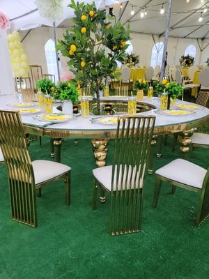 Image of Kids luxury table set with luxury chairs and table package 