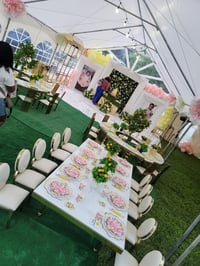 Image 6 of Kid luxury chair top and bottom  cushions 