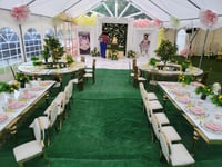 Image 8 of Kid luxury chair top and bottom  cushions 