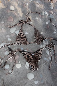 Image 1 of ♲ Lacy Leopard Bikini Set - S/M