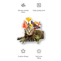 Image 4 of Frida Cat-lo  Pillow Pal