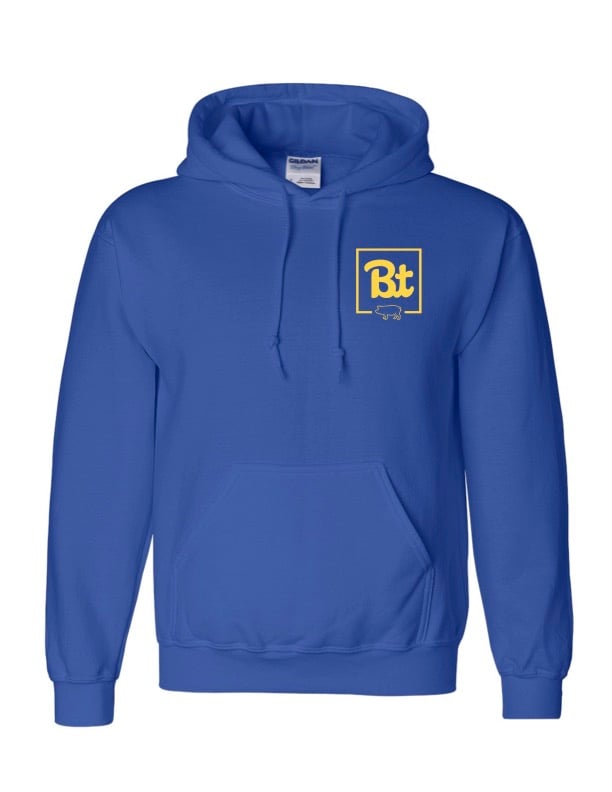 Image of Royal and Gold Hoodie