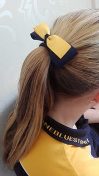 Image 3 of All schools Shelly Bow